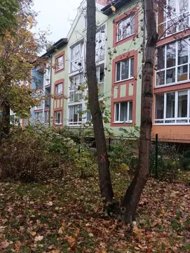 2-к кв. Калининградская область, Калининград ул. Ивана Земнухова, 6А ...