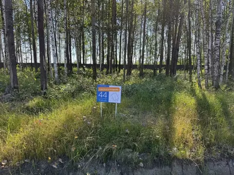 Участок в Санкт-Петербург, Санкт-Петербург, Павловск Павлов Скай кп, ...