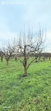 Участок в Бахчисарайский район, посёлок городского типа Почтовое (138 ...
