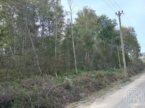 Участок в Ленинградская область, Всеволожский район, Агалатовское ...