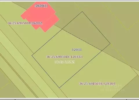 Участок в Воронежская область, Рамонский район, Новоживотинновское ...