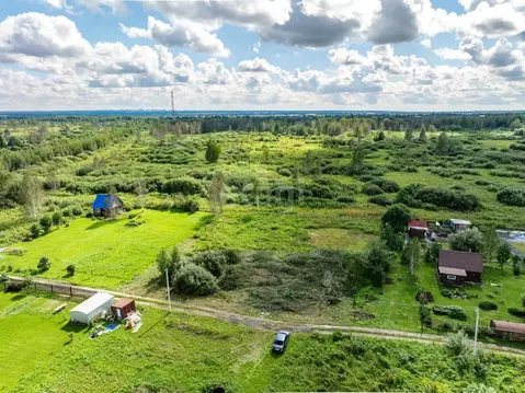 Участок в Новосибирская область, Коченевский район, Лесник СНТ ул. ...