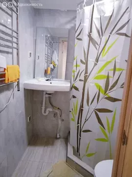 Квартира-студия: Санкт-Петербург, Боровая улица, 88 (20 м)