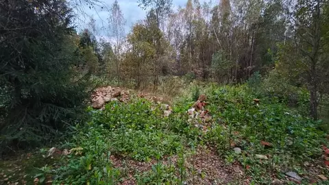 Участок в Московская область, Руза  (10.57 сот.)