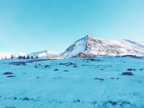 Участок в Алтай, Кош-Агачский район, Джазаторское с/пос, с. Беляши  ...
