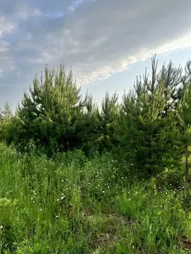 Участок, 7 сот., поселения (ижс)