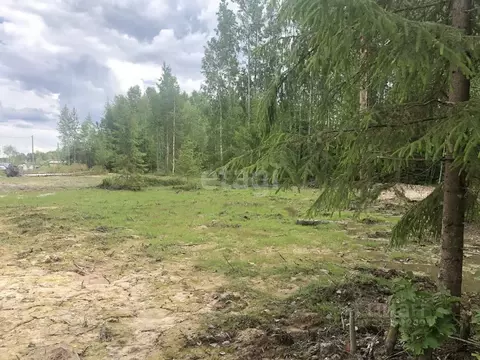 Участок в Ленинградская область, Киришский район, Пчевжинское с/пос, ...