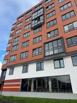 Студия Ленинградская область, Всеволожский район, Романовское с/пос, ...