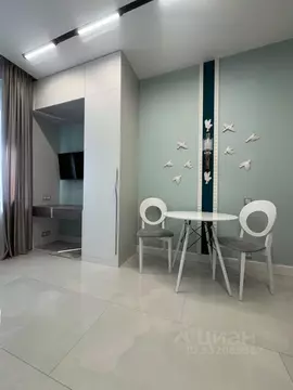 Студия Москва ул. Крузенштерна, 12к2 (27.2 м)