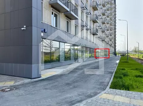 Торговая площадь в Москва Березовая аллея, 19к3 (240 м)