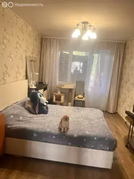 2-комнатная квартира: Новороссийск, Анапское шоссе, 64 (48 м)