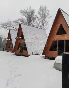 Дом в Алтай, Майминский район, Соузгинское с/пос, пос. Турбаза Юность ...