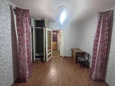 Студия Красноярский край, Красноярск ул. Курчатова, 9а (17.0 м)