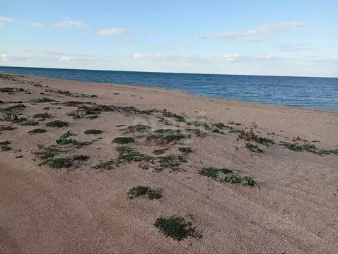 Участок в Крым, Ленинский район, Семисотское с/пос, с. Соляное ул. ...