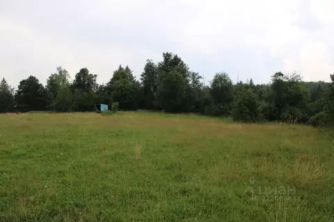 Участок в Московская область, Рузский муниципальный округ, д. Высоково ...