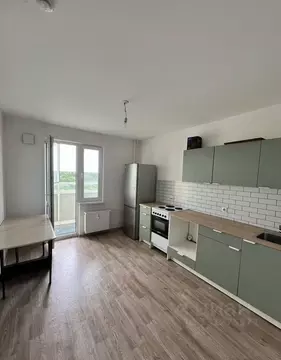 2-к кв. Санкт-Петербург ул. Пейзажная, 4к1 (52.0 м)