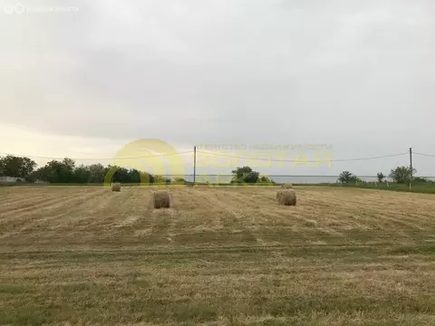 Участок в Темрюкский район, Курчанское сельское поселение, станица ...