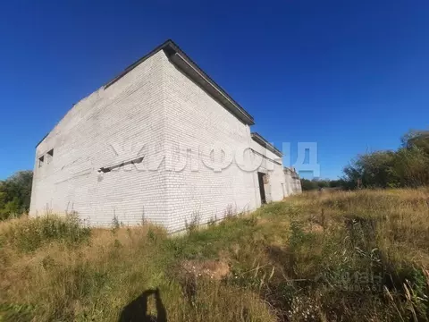 Помещение свободного назначения в Архангельская область, Приморский ...