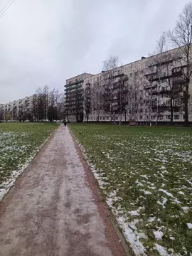 Свободной планировки кв. Санкт-Петербург ул. Замшина, 25К2 (49.3 м)