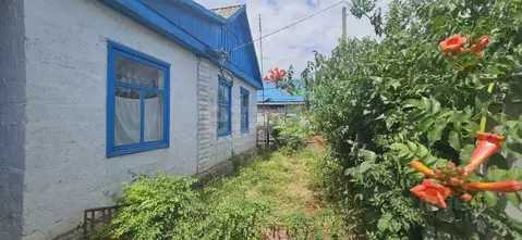 Дом в Краснодарский край, Белореченск Келермесская ул. (40 м)