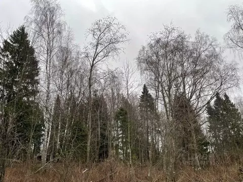 Участок, 19.3 сот., поселения (ижс)