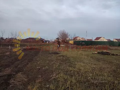 Участок в Краснодарский край, Ейский район, Александровское с/пос, с. ...