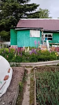 Дом в Приморский край, Надеждинский район, пос. Сиреневка 15 (30 м)