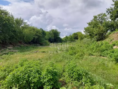 Участок в Воронежская область, Рамонь рп  (10.0 сот.)