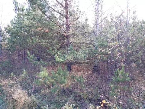 Участок в Тюменская область, Нижнетавдинский муниципальный округ, д. ...