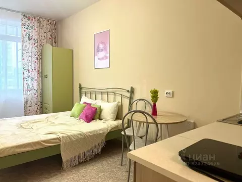 Студия Красноярский край, Красноярск ул. Лесников, 43Б (23.6 м)