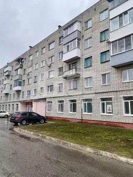 2-к кв. Брянская область, Брянск Белые Берега пгт, Пролетарская ул., 6 ...