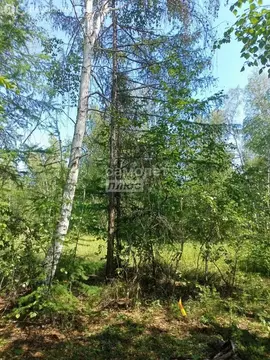 Участок в Республика Саха (Якутия), Якутск (800 м)