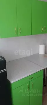 Студия Красноярский край, Красноярск ул. Можайского, 4 (14.2 м)