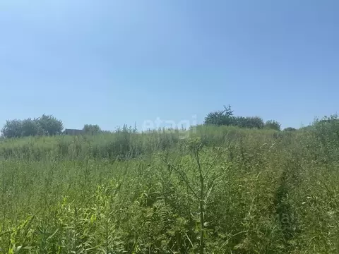 Участок в Брянская область, Брянск Снежка ГСО,  (8.0 сот.)