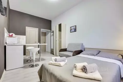 1-к кв. Санкт-Петербург Пушкинская ул., 18 (20.0 м)