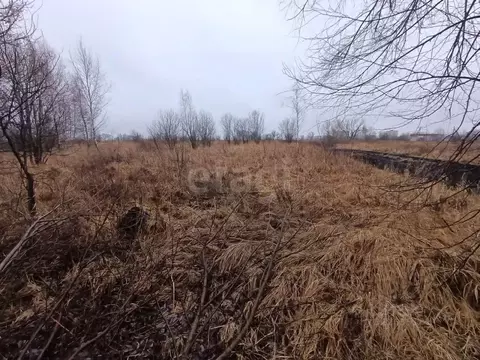 Участок в Тульская область, Богородицкий район, Товарковское с/пос, д. ...