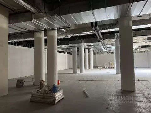 Помещение свободного назначения в Санкт-Петербург просп. Просвещения, ...