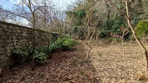 Участок в Крым, Ялта муниципальный округ, Массандра пгт ул. Совхозная ...