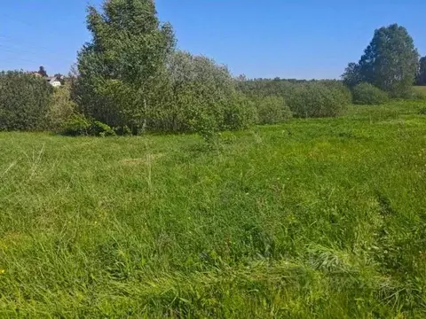 Участок в Московская область, Рузский муниципальный округ, д. Орешки  ...