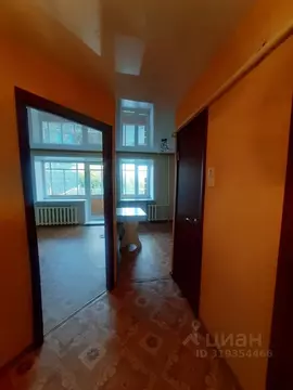 1-к кв. Курганская область, Курган ул. Пушкина, 24 (34.9 м)