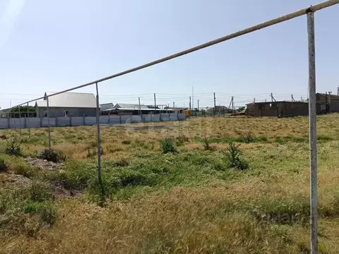 Участок в Крым, Черноморский район, Медведевское с/пос, с. Медведево ...