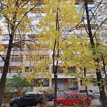 2-к кв. Санкт-Петербург просп. Космонавтов, 32 (56.12 м)