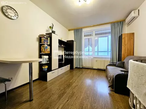 Квартира-студия: Санкт-Петербург, Арцеуловская аллея, 23к1 (23.9 м)