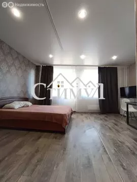 Квартира-студия: Абакан, улица Некрасова, 18 (33 м)