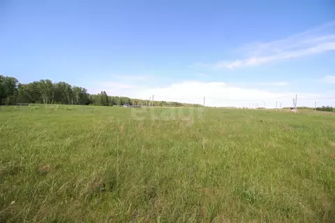 Участок в Алтайский край, Первомайский район, с. Фирсово, Полесье мкр  ...