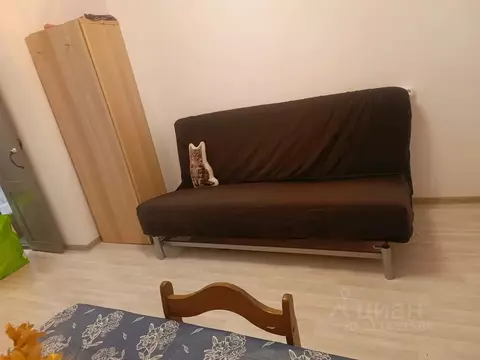 Студия Новосибирская область, Новосибирский район, Краснообск рп 9 ...