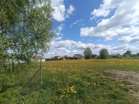 Участок в Новгородская область, Новгородский район, Савинское с/пос, ...