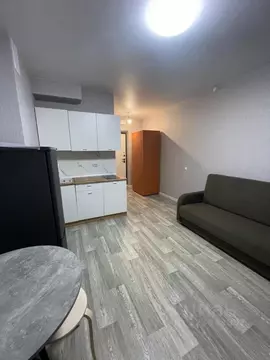 Студия Новосибирская область, Новосибирск Спортивная ул., 45 (22.0 м)