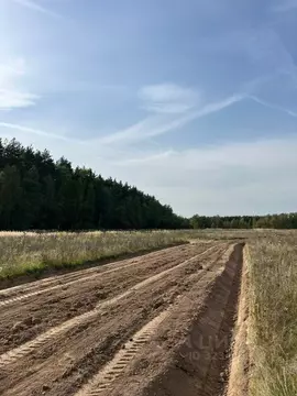 Участок в Московская область, Раменский муниципальный округ, Опушкино ...