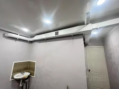 Помещение свободного назначения в Удмуртия, Ижевск Майская ул., 16 (8 ...